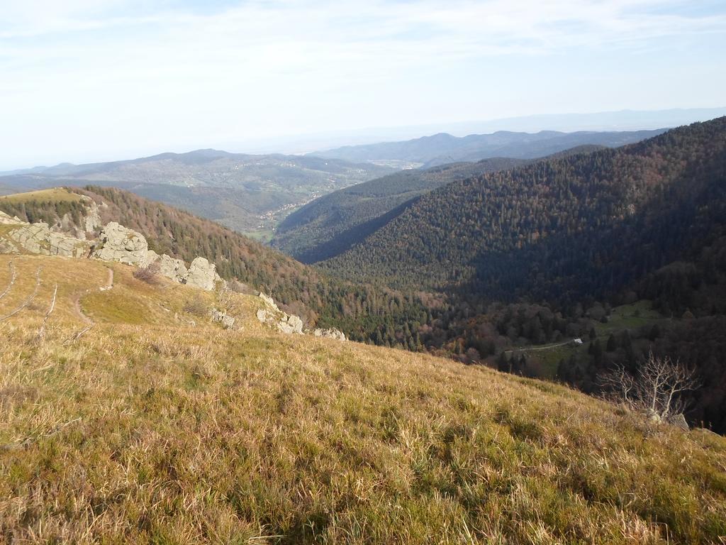 Camping Les Pinasses La Chapelle  Kültér fotó